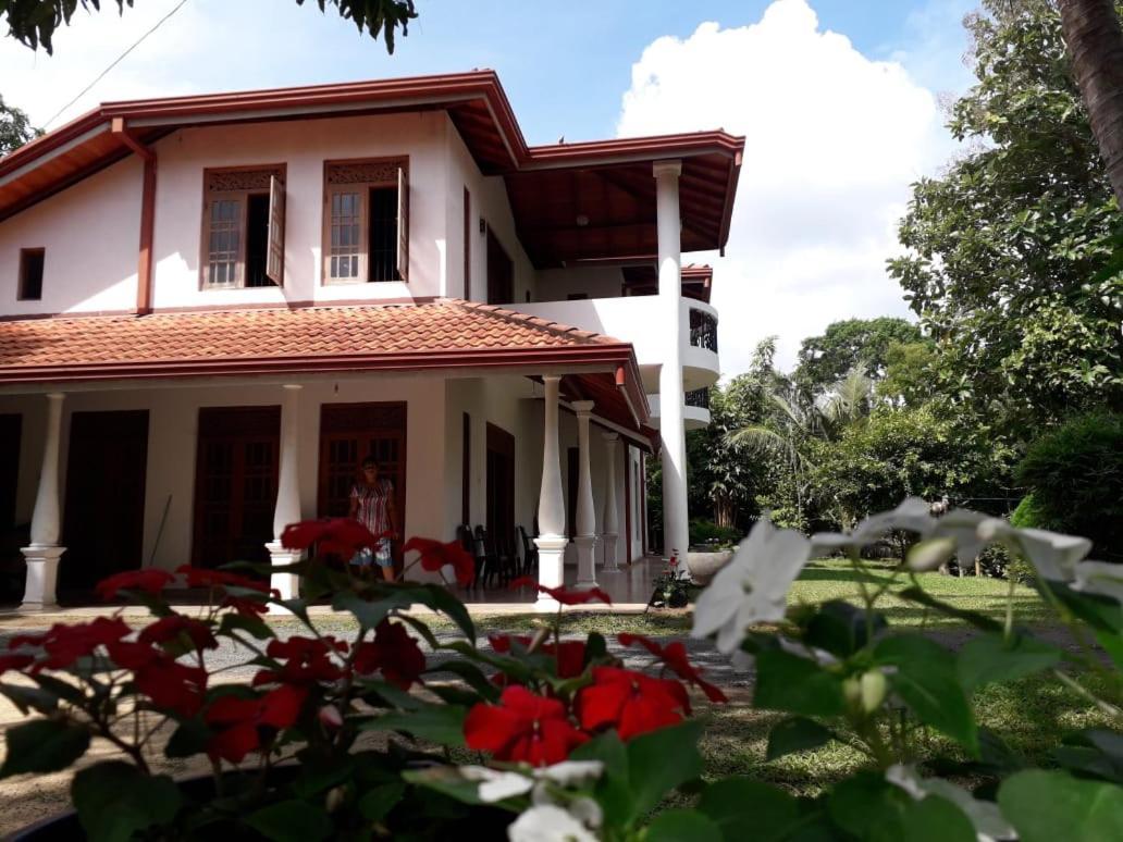 Blue Point Rest Hotell Tangalle Exteriör bild
