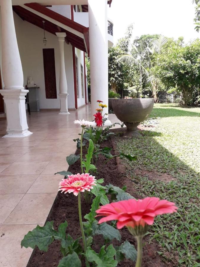 Blue Point Rest Hotell Tangalle Exteriör bild